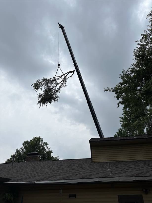 Crane lifting a large tree limb up and away from the roof of a house